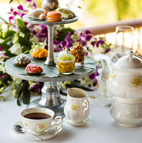 florista, barista, Belle fleur, bloemen, koffie, planten, bloemenwinkel, koffiebar, high tea, lekkernijen