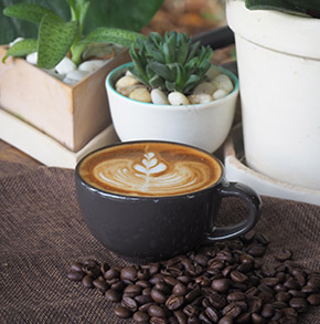 florista, barista, Belle fleur, bloemen, koffie, planten, bloemenwinkel, koffiebar, high tea, lekkernijen