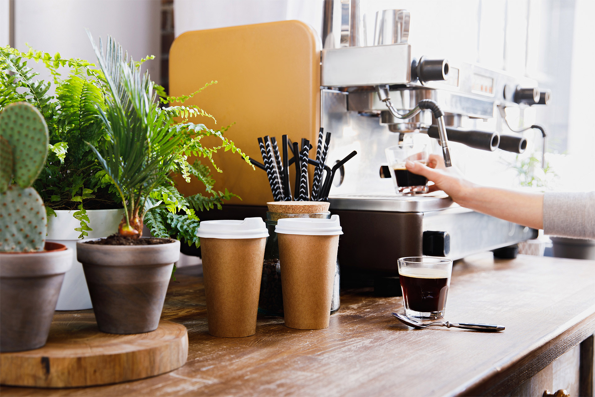 Belle fleur, bloemen, koffie, planten, bloemenwinkel, koffiebar, high tea, lekkernijen, florista barista