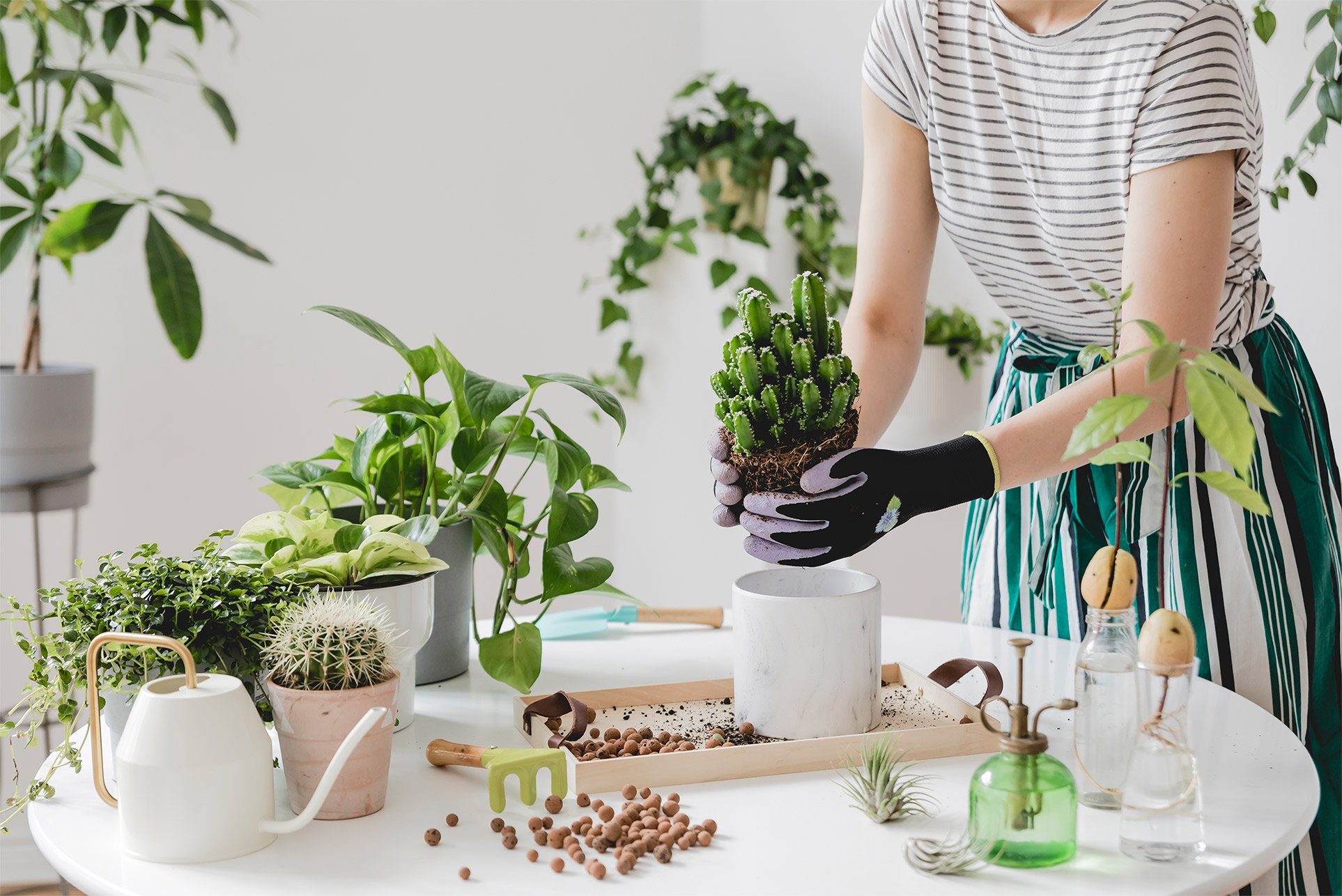 Belle fleur, bloemen, koffie, planten, bloemenwinkel, koffiebar, high tea, lekkernijen, florista barista
